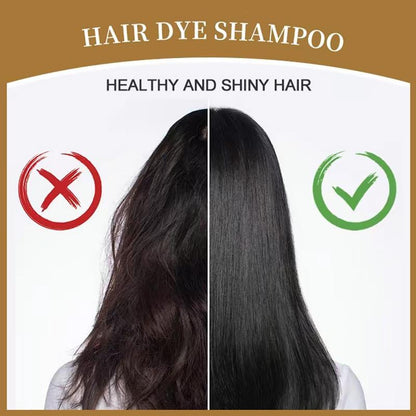 CAIGAIBAI Hair Dye Shampoo 3 in 1 Herbal Ingredients Long-lasting & Coverage for Gray Hair,400ML, Haircare, Hair Dye, Color,