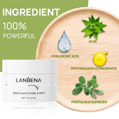 LANBENA Blackhead and Whitehead Removal Mask - Facial Exfoliation Mud Mask, Deep Cleansing Nasal Patch (30g)