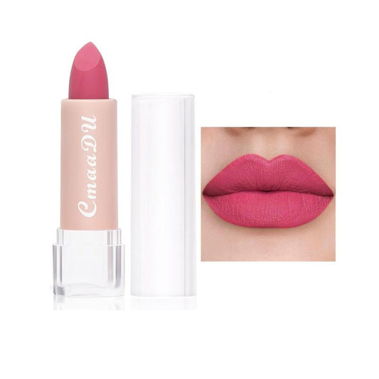 Long Lasting Matte Lipstick, 1 Count Waterproof Moisturizing Lipsticks Suitable for All Occasions, Lip Makeup Products for Girls and Women