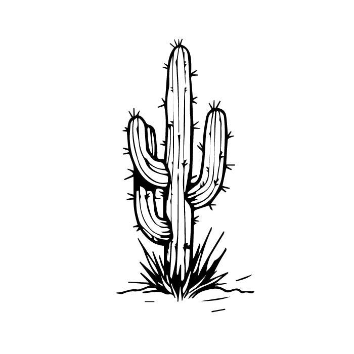 AuraInk Temp Tattoos,Cactus Patten,3x3 in, Semi-Permanent Tattoo, Water-Resistant, 2 Weeks Long Lasting Temp Tattoo with Plant-Based Ink