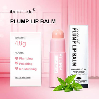 Plumping Lip Balm, 2pcs/set Tinted Lip Plumper, Enhancing & Hydrating Lip Moisturizer, Natural Raw Material Lipstick for Women Makeup