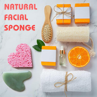 60-Count Compressed Facial Sponges | 100% Natural Cosmetic Spa Sponges for Facial Cleansing | Exfoliating Mask | Makeup Remover | Face Scrubber