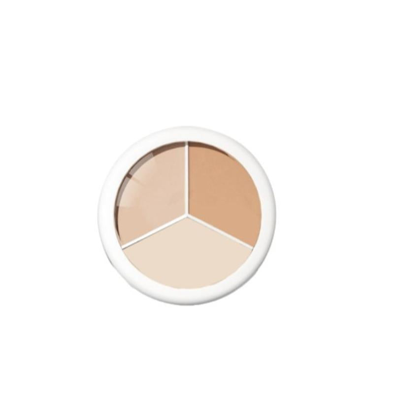 3-color Concealer Powder, 1 Count Long-lasting Evening Foundation, Facial Makeup Accessory